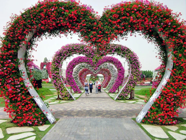 Dubai Butterfly Garden ticket visit photo