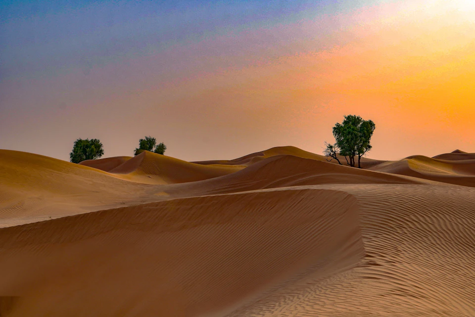 Dubai Desert Safari