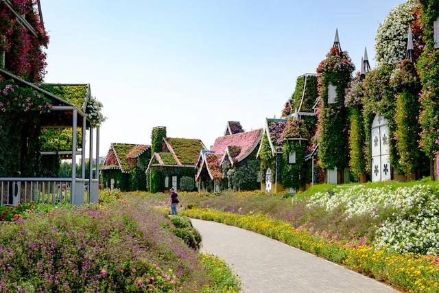 Dubai Miracle Garden ticket visit photo