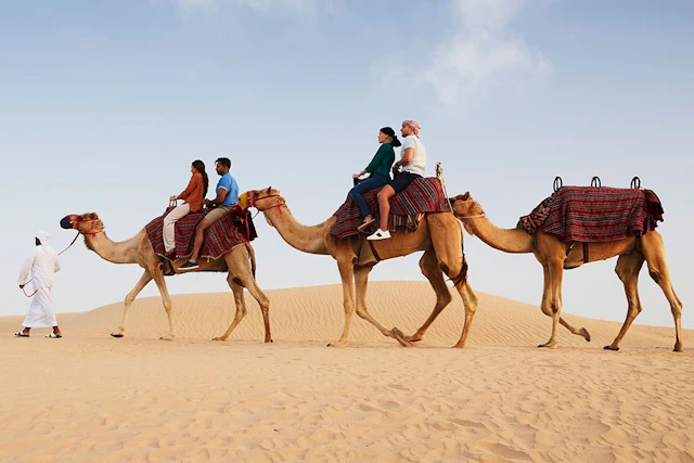Dubai Platinum Heritage Safari ticket visit photo
